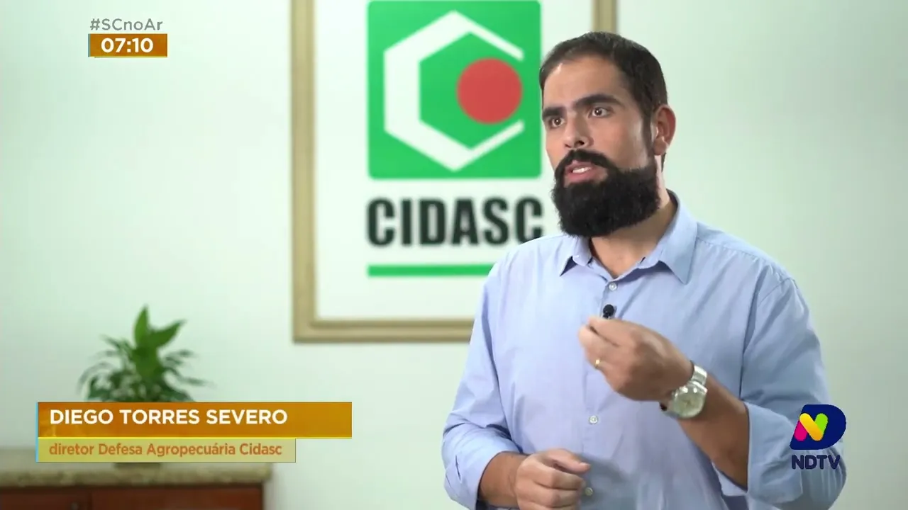 É confirmado o primeiro caso de gripe aviária em SC