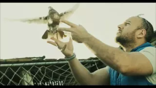 Ahmed Mekky Taraqt Babak أحمد مكي طرقت بابك Salwan 