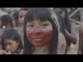 Diario da Amazonia