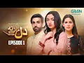 Dil Manay Na Episode 1 l Aina Asif Azfer Rehman Madiha Imam Multiverse Entertainment