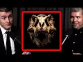 Download Lagu The iconic T-Rex skull explained by dinosaur expert | Dave Hone and Lex Fridman