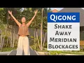 Download Lagu SHAKE AWAY MERIDIAN BLOCKAGES / QIGONG