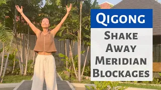 shake away meridian blockages qigong
