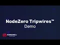 NodeZero Tripwires