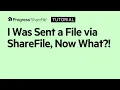 I was sent a file via ShareFile now what