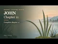 John 11 Complete chapter 11 Peaceful Scripture Reading BSB