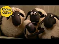 Lagu Bad Vibes 🐑 Shaun the Sheep 🐑  - Cartoons for Kids 🐑 Full Episodes Compilation [1 hour]