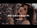 Download Lagu Bole Jo Koyal Bago Mein [Slowed+Reverb] Chudi Jo Khanke Lofi Song | Songs Addicted