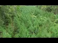 Arkansas hunting lease now available on HLRBO