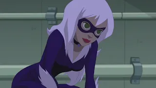 The Spectacular Spider-Man All Black Cat Scenes
