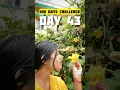 Download Lagu DAY 43 OF 100 DAYS CHALLENGE #minivlog #youtubeshorts #trending #shortvideo #viral