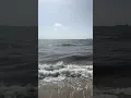 Fort Lauderdale - Beach Report Today the beach is hot The sargassum is still here