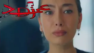 استقالة حب دندنها