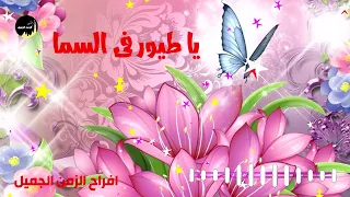 يا طيور فى السما 