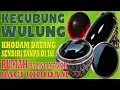 Download Lagu WULUNG, BATU PALING DIBURU, KARENA PALING AMPUH.