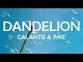 🔥DANDELION - GALANTIS, JVKE LYRICS
