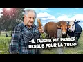 Download Lagu Tomates, chiens et cheptels détruits