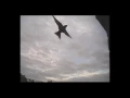 Download Lagu Swifts investigating nest boxes