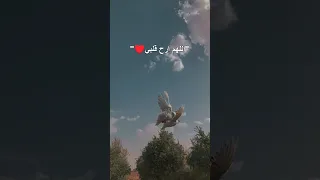 اللهم أرح قلبي أجمل حالات واتساب دينيه 