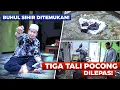 Lagu BUHUL SIHIR DITEMUKAN !! TIGA TALI POCONG DILEPAS !!