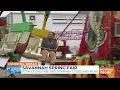 Savannah Spring Fair brings excitement to South Georgia State Fairgrounds