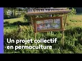 Download Lagu Un projet collectif en permaculture : l'écovillage du projet TERA