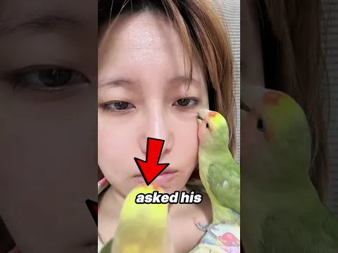 Parrot Decides to Remove His Master's Warts ❤️🦜