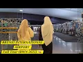 Lagu ​BRUNEI INTERNATIONAL AIRPORT Full Tour (BWN 2025) 🇧🇳 | Shops, Food \u0026 Terminal Walkthrough
