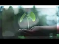 From This Little Seed: The Vision of SeedSong Worship (Official Lyric Video)