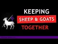 Sheep and Goats Together Watch This First