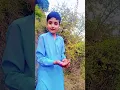 Download Lagu Kashmir ke local phal | Kashmir Ke Anokhay Phal | Village life fruit 🍓🍑 vlog | Locally Grown Fruits