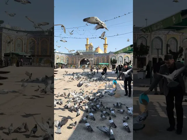 ⁣وكلما مددت يدي للحسين ملئها إجابة