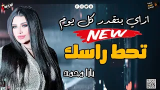 يارا محمد      التريند اللي عامل قلبان في مصر  ازاي بتقدر كل يوم تحط راسك  دندنها