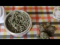 Robot Girl Premium Whole Flower The Botanist Strain