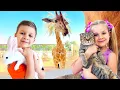 Download Lagu Diana and Roma - Funny Videos with Cat and Other Animals