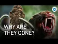 Download Lagu The Last Giants: Tracking the Ice Age Extinction | Full Documentary