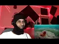 Franco, The Sir! - Rubi & Safira | REACT