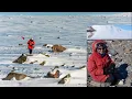 NSN Webinar NASA s Search for Meteorites in Antarctica Who What When Where Why and How