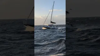 When the weather says No, but the charter boat has to be back to the marina anyway . ⛵💨🌊