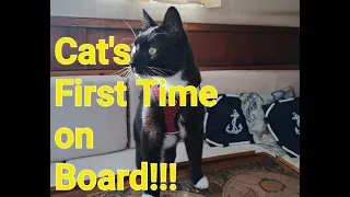 Ep.17 Cat’s FIRST TIME on BOAT!!!