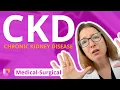 Chronic Kidney Disease CKD Medical-Surgical - Renal System LevelUpRN