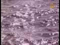 Дмитро Гнатюк Летять ніби чайки Ukrainian song