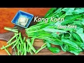 Download Lagu Kang Koen zo klaar maken is zooo lekker 😋 / Making Kang Kung this way is sooo delicious 😋 / 空心菜这样吃！