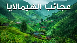 عجائب الهيمالايا الجمال المهيب لأعلى جبل في العالم فيلم وثائقي سياحي 