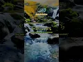 Download Lagu Q.S Alkafirun #surahalkafirun #murottal #tilawatilquran #quranmerdu #quranrecitation #shorts #quran