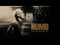 Download Lagu Linkin Park - Numb - Acoustic Version/ Remix