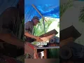 How is Sago Palm made into food? #shorts