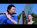 Download Lagu Give me your Hand (tabhair dom do lámh) - TuneWood