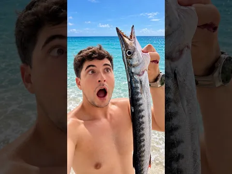 Pesco la BARRACUDA de Nemo y la cocino #playa #pesca #peces