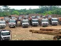 Download Lagu BUKAN MAIN !! 1 LOADER MELAYANI 20 UNIT TRUK LOGGING
